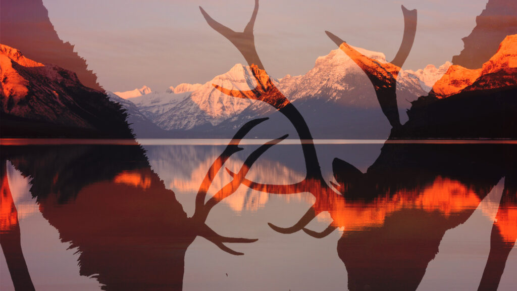 Montana mountains with elk grazing overlay.